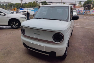 吉利银河 2024款 熊猫mini 200km 耐力熊