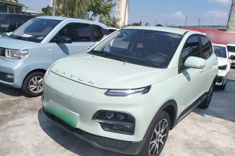 大运 悦虎 2022款 30.66kWh 两驱贵宾版