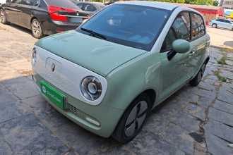 欧拉黑猫 2022款 301km 基础型 三元锂