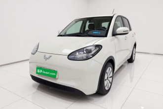 五菱汽车 五菱缤果 2023款 203km 轻享款