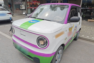 吉利银河 2024款 熊猫mini 200km 耐力熊