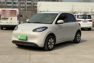 五菱汽车 五菱缤果 2024款 333km 悦享款