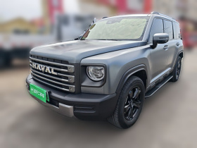 哈弗猛龙新能源 2024款 Hi4 145 穿越版