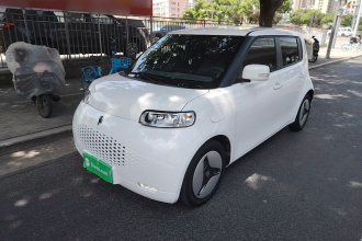 欧拉白猫 2020款 360km 标准型