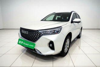 哈弗M6 2021款 PLUS 1.5T DCT豪华智联型