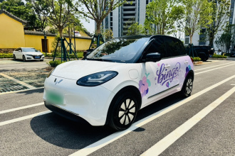 五菱汽车 五菱缤果 2025款 333km 灵犀尊享款