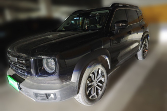 哈弗大狗 2021款 1.5T DCT两驱边牧版