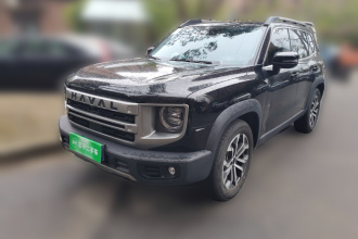 哈弗大狗 2024款 1.5T DCT边牧版