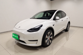 特斯拉 Model Y 2021款 标准续航后驱版