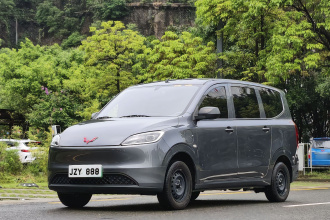 五菱汽车 五菱宏光新能源 2024款 纯电版 300KM 实用型