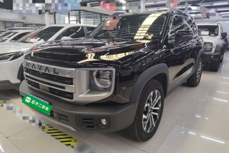 哈弗大狗 2024款 1.5T DCT边牧版