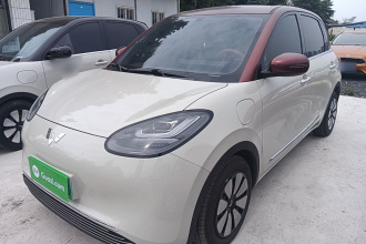 五菱汽车 五菱缤果 2024款 333km 悦享款
