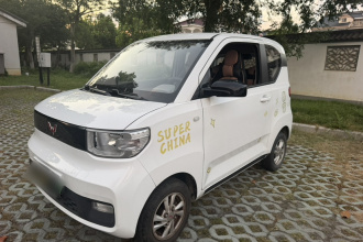 五菱汽车 宏光MINIEV 2020款 自在款 磷酸铁锂