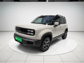 宝骏悦也Plus 2026款 301km旗舰版