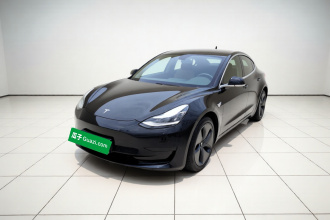 特斯拉 Model 3 2020款 改款 标准续航后驱升级版