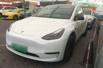 特斯拉 Model Y 2021款 长续航全轮驱动版 3D7