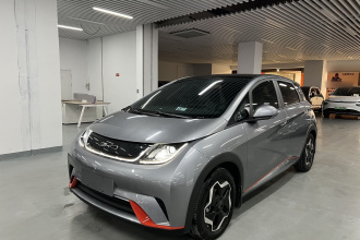 比亚迪 海豚 2021款 405km 时尚版