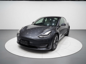 特斯拉 Model 3(进口) 2019款 长续航全轮驱动版