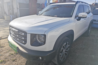 哈弗大狗 2021款 1.5T DCT两驱边牧-旺财版