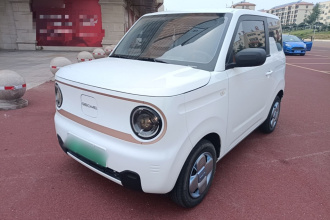 吉利银河 2024款 熊猫mini 200km 耐力熊