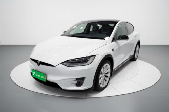 特斯拉 Model X 2019款 长续航版