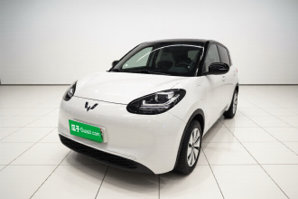 五菱汽车 五菱缤果 2024款 203km 轻享款