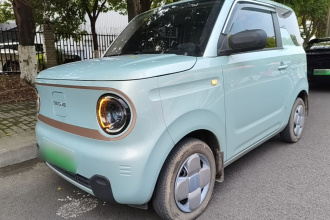 吉利银河 2024款 熊猫mini 200km 龙腾PRO版