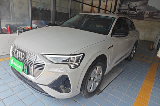 奥迪e-tron 2021款 50 quattro 豪华型