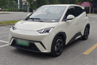 比亚迪 海鸥 2024款 荣耀版 305km 自由版