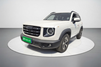 哈弗大狗 2021款 1.5T DCT两驱拉布拉多版