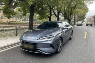 比亚迪 海豹 2024款 荣耀版 DM-i 1.5L 121km 尊贵型