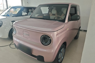 吉利银河 2023款 熊猫mini 200km 耐力熊