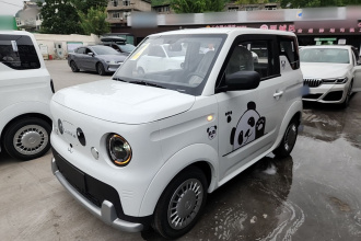 睿蓝汽车 睿蓝蓝气球 2025款 活力版