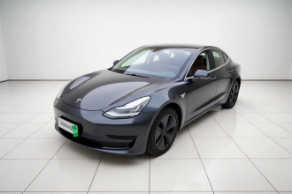 特斯拉 Model 3 2020款 改款 标准续航后驱升级版