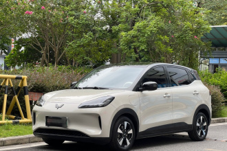 五菱汽车 五菱缤果PLUS 2024款 401km 五座版