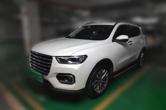 哈弗H6 2020款 1.5GDIT 自动铂金冠军版
