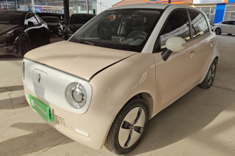 欧拉黑猫 2022款 301km 基础型 三元锂