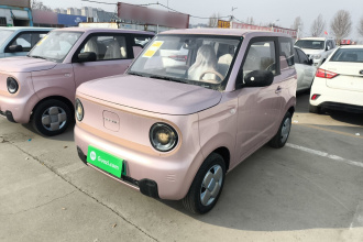 吉利银河 2024款 熊猫mini 200km 耐力熊