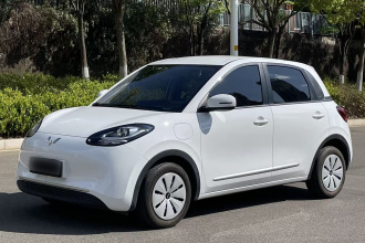 五菱汽车 五菱缤果 2024款 203km 轻享款