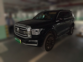 坦克500新能源 2024款 Hi4-T