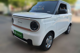 吉利银河 2024款 熊猫mini 200km 耐力熊