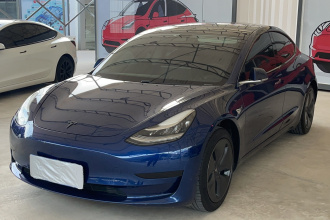 特斯拉 Model 3 2019款 标准续航后驱升级版