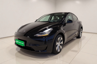 特斯拉 Model Y 2021款 标准续航后驱版