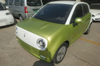 欧拉黑猫 2022款 301km 基础型 三元锂