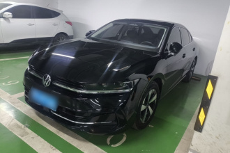 大众 迈腾 2024款  300TSI DSG尊享版显眼包