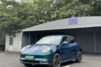欧拉好猫 2024款 401km 豪华型