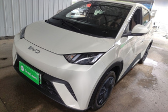 比亚迪 海鸥 2024款 荣耀版 305km 活力版
