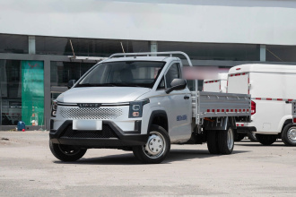 菱势汽车 菱势黄金卡 2025款 纯电版 310km 平板