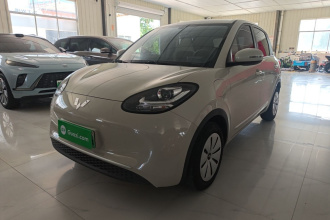五菱汽车 五菱缤果 2024款 203km 轻享款