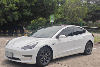 特斯拉 Model 3(进口) 2019款 长续航全轮驱动版
